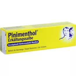 PINIMENTHOL Kold salve Eucal/pine/menth, 20 g