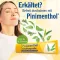 PINIMENTHOL Forkølelsessalve Eucal/pine/menth, 100 g