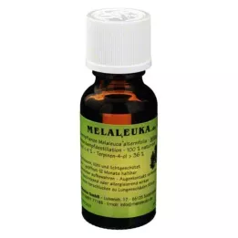 MELALEUKA Økologisk olie, 20 ml