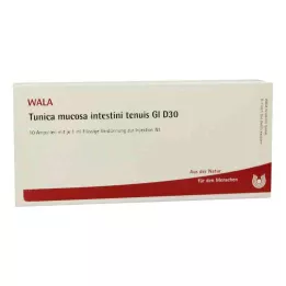 TUNICA mucosa intestini tenuis GL D 30 ampuller, 10X1 ml