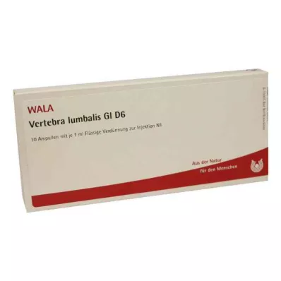 VERTEBRA lumbalis GL D 6 ampuller, 10X1 ml
