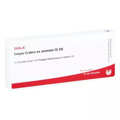 Vespa Crabro Ex Animale Gl D6 ampuller (10x1 ml)