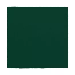 MULLKOMPRESSEN 10x10 cm 12x grøn, 100 stk