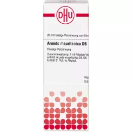 ARUNDO mauritanica D 6 fortynding, 20 ml