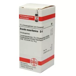 ARUNDO mauritanica D 6 kugler, 10 g