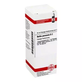 BELLIS PERENNIS D 2 fortynding, 20 ml