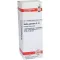 BELLIS PERENNIS D 12 fortynding, 20 ml