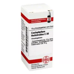 CAULOPHYLLUM THALICTROIDES C 30 kugler, 10 g