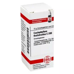 CAULOPHYLLUM THALICTROIDES C 200 kugler, 10 g