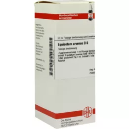 EQUISETUM ARVENSE D 6 fortynding, 50 ml