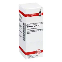 GENTIANA LUTEA D 1 fortynding, 20 ml