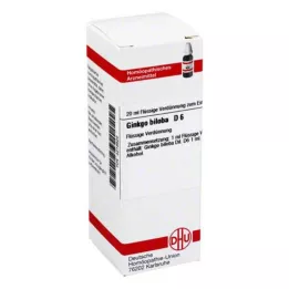 GINKGO BILOBA D 6 fortynding, 20 ml