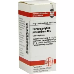 HARPAGOPHYTUM PROCUMBENS D 6 kugler, 10 g