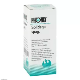 PHÖNIX SOLIDAGO spag. blanding, 100 ml