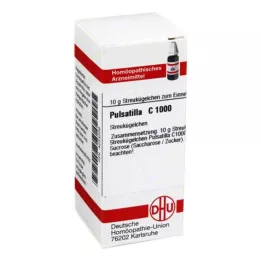PULSATILLA C 1000 kugler, 10 g