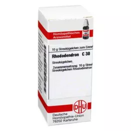RHODODENDRON C 30 kugler, 10 g
