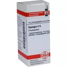 SPONGIA C 6 kugler, 10 g