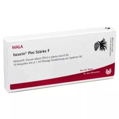 Iscucin Pini St.F ampuller, 10X1 ml