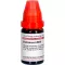 DULCAMARA LM XII Fortynding, 10 ml