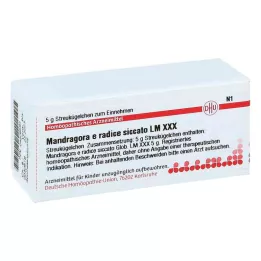 MANDRAGORA E radice siccata LM XXX Kugler, 5 g