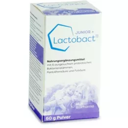 LACTOBACT Junior-pulver, 60 g