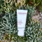 ALOE VERA CREME medium uden parfume, 30 ml