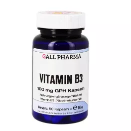 VITAMIN B3 100 mg GPH Kapsler, 60 Kapsler