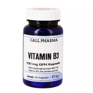 VITAMIN B3 100 mg GPH Kapsler, 60 Kapsler