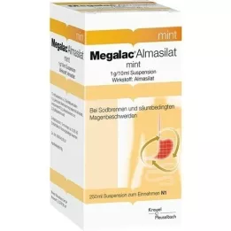 MEGALAC Almasilat mintsuspension, 250 ml
