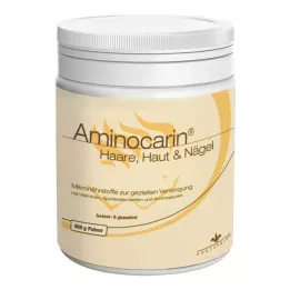 AMINOCARIN Pulverblik, 400 g