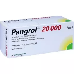 PANGROL 20.000 enterotabletter, 100 stk