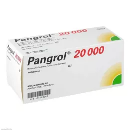 PANGROL 20.000 enterotabletter, 100 stk