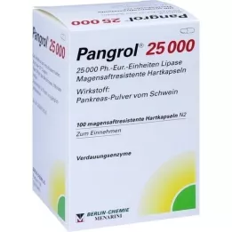 PANGROL 25.000 Hårde kapsler med enterisk belagt skal, 100 stk