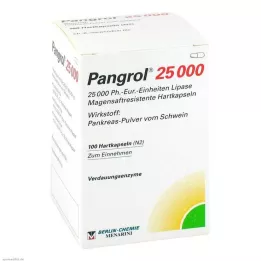 PANGROL 25.000 Hårde kapsler med enterisk belagt skal, 100 stk