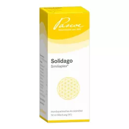 SOLIDAGO SIMILIAPLEX Dråber, 50 ml