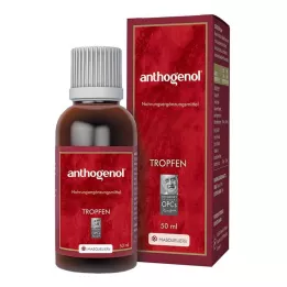 ANTHOGENOL Masquelier OPC Dråber, 50 ml