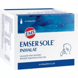 EMSER Saltvandsinhalationsopløsning til nebulisator, 20 stk