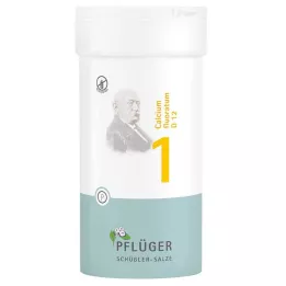 BIOCHEMIE Pflüger 1 Calcium fluoratum D 12 tabletter, 400 stk