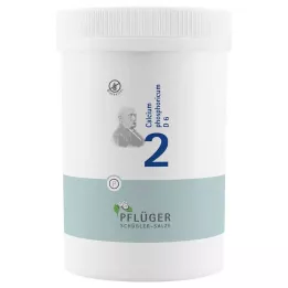 BIOCHEMIE Pflüger 2 Calcium phosphoricum D 6 tabletter, 4000 stk