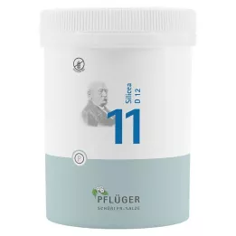 BIOCHEMIE Pflüger 11 Silicea D 12 tabletter, 1000 kapsler