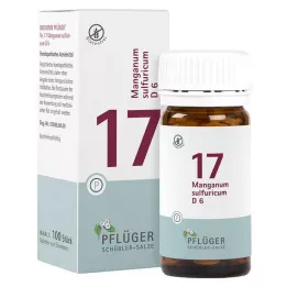 BIOCHEMIE Pflüger 17 Manganum sulphuricum D 6 tabletter, 100 stk