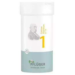 BIOCHEMIE Pflüger 1 Calcium fluoratum D 12 pulver, 100 g