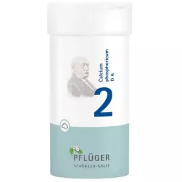 BIOCHEMIE Pflüger 2 Calcium phosphoricum D 6 Pulver, 100 g