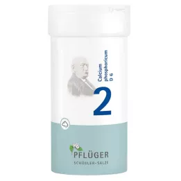 BIOCHEMIE Pflüger 2 Calcium phosphoricum D 6 Pulver, 100 g