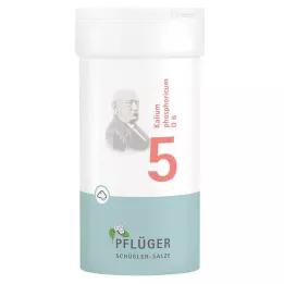 BIOCHEMIE Pflüger 5 Kaliumphosphoricum D 6 pulver, 100 g