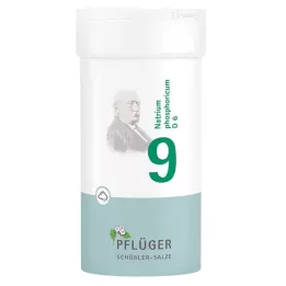 BIOCHEMIE Pflüger 9 Natrium phosphoricum D 6 Pulver, 100 g