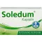 SOLEDUM 100 mg gastro-resistente kapsler, 100 stk