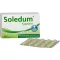 SOLEDUM 100 mg gastro-resistente kapsler, 100 stk