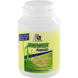 INGWER 500 mg kapsler+vitamin B1+C, 90 stk
