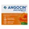 ANGOCIN Anti-infektion N filmovertrukne tabletter, 100 stk